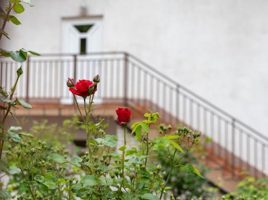 Apartmani Ba Saraievo Exterior foto